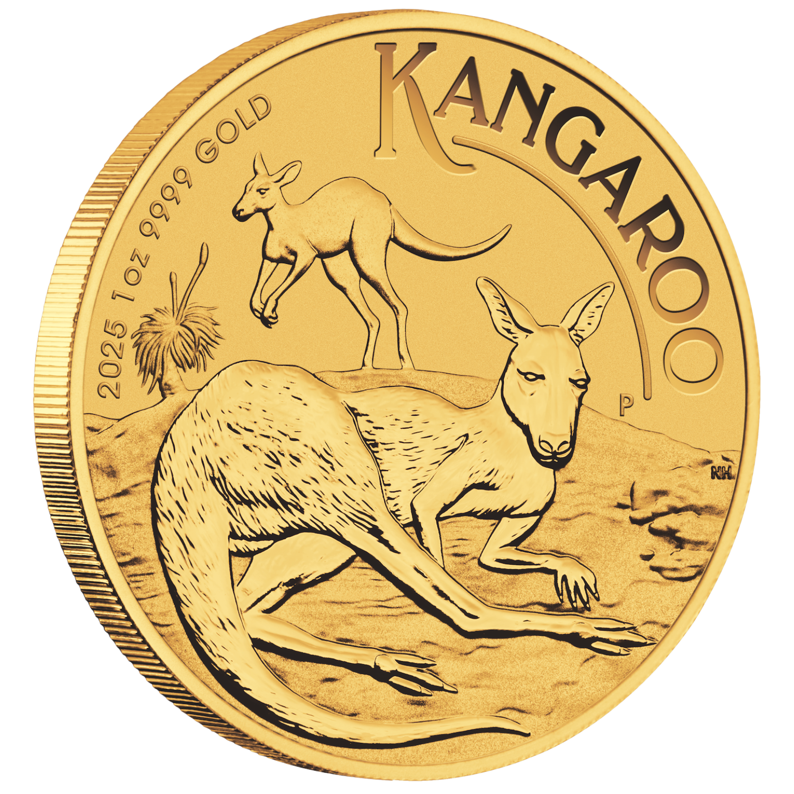 1oz Perth Mint Kangaroo Gold Coin 9999 Gold